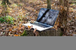 working on laptop in forest
