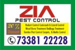 cockroach and bed bug service
