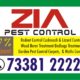 Cockroach and Bed Bug Service | High-level Pest Control | 1334 |